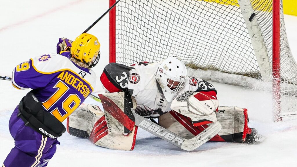 Future Prospects and Goals Future Prospects and Goals
